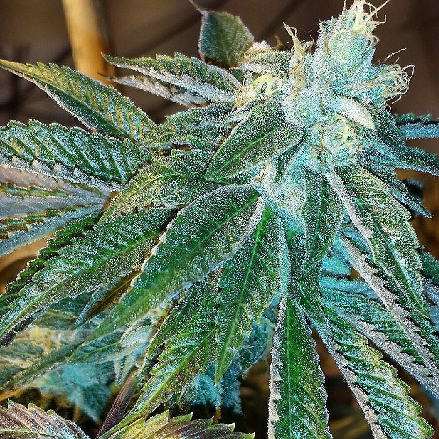 IMG 20150210 223057