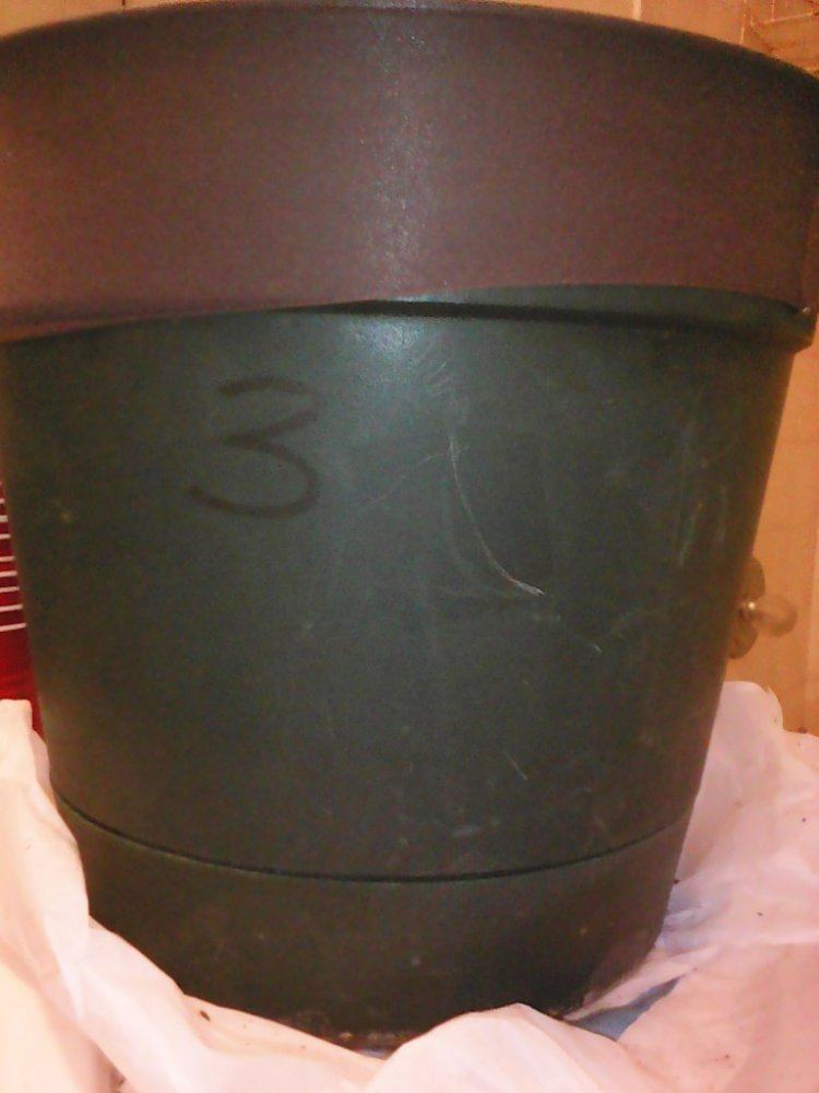 IMG 20150226 191859