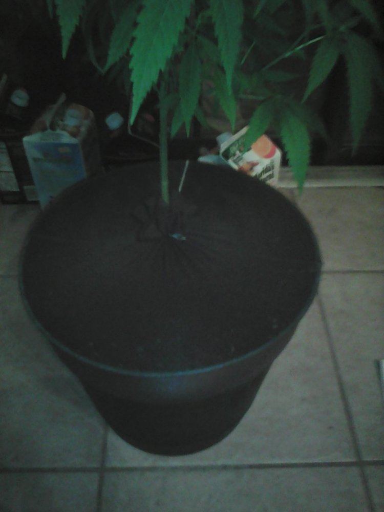 IMG 20150226 192133