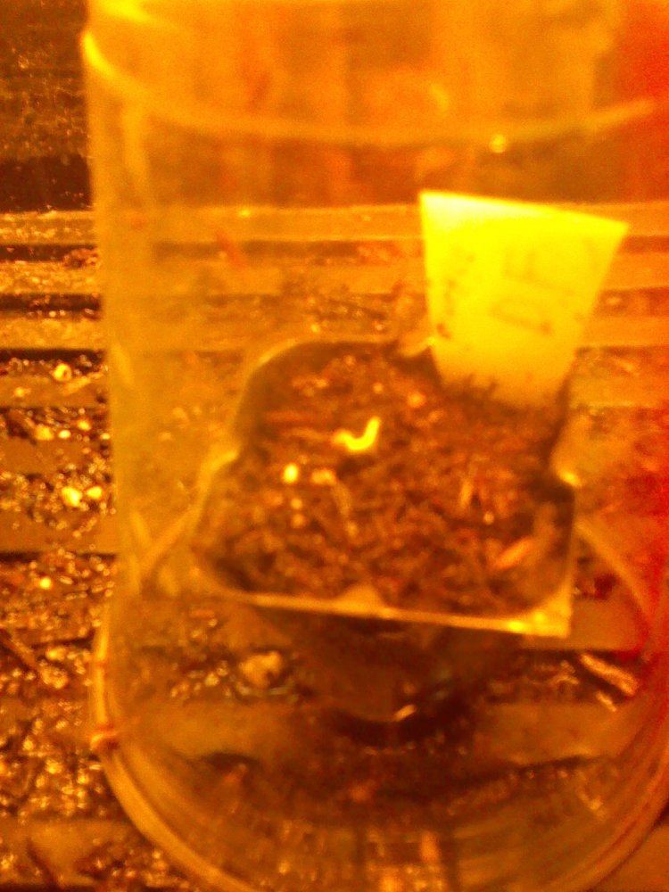 IMG 20150228 170139 610