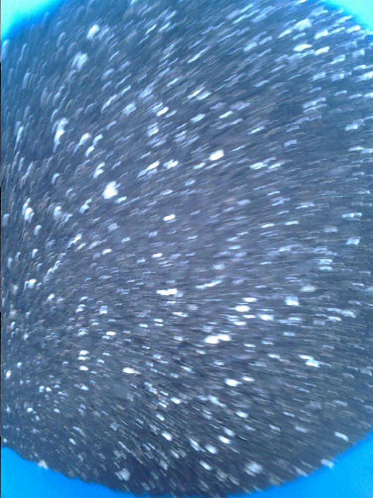 IMG 20150315 135703
