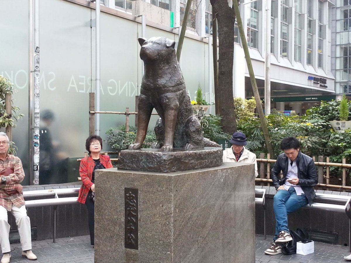IMG 20150318 1154241