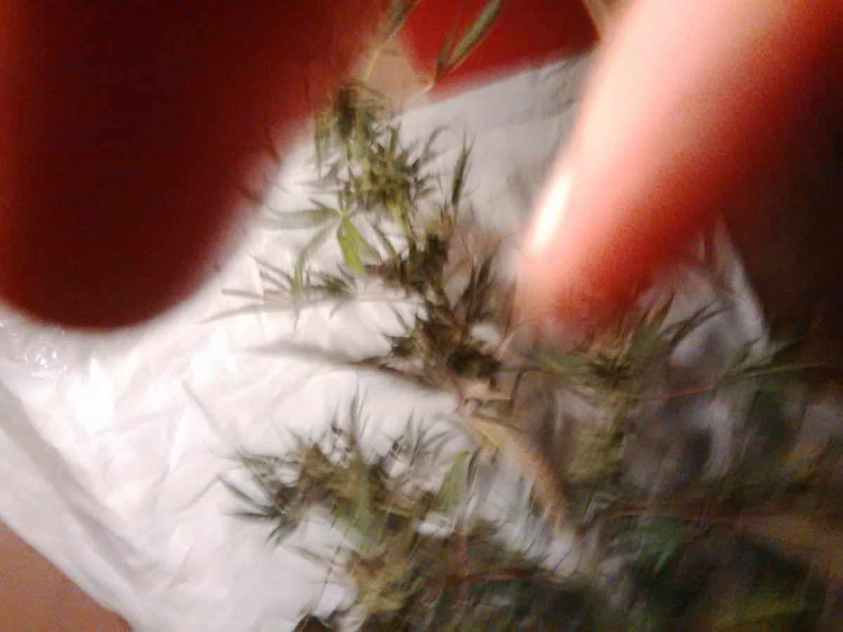 IMG 20150319 224558