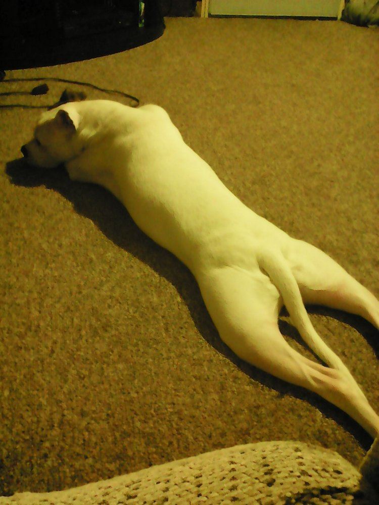 IMG 20150320 011150