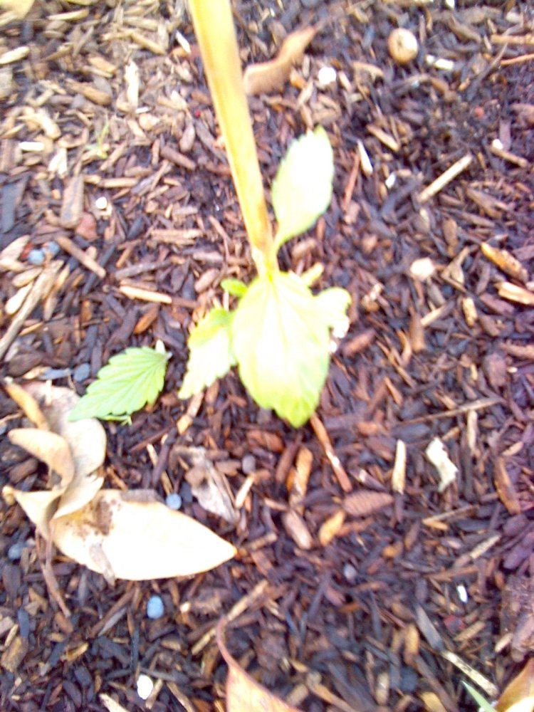 IMG 20150409 183531 535