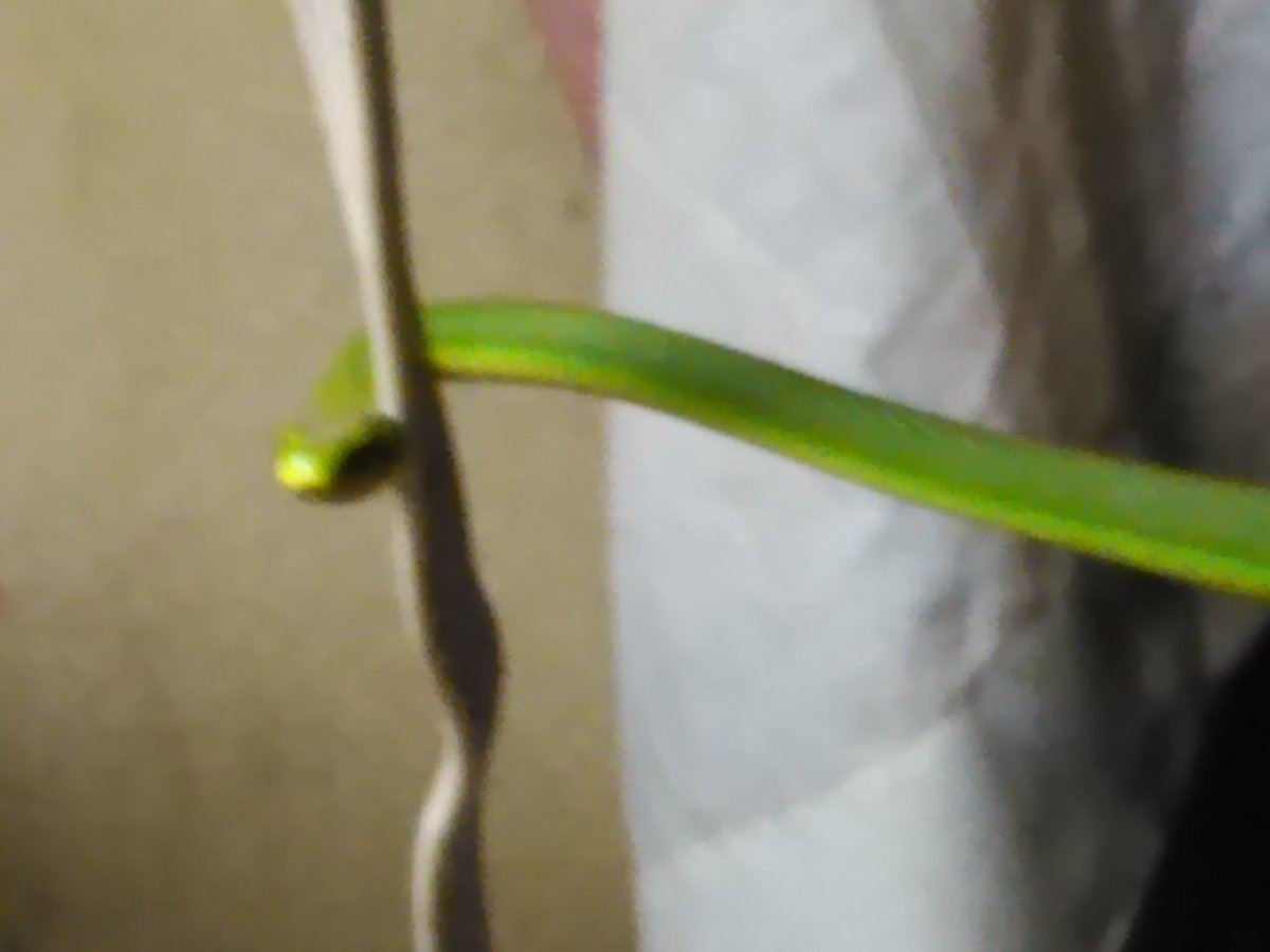 IMG 20150418 080756