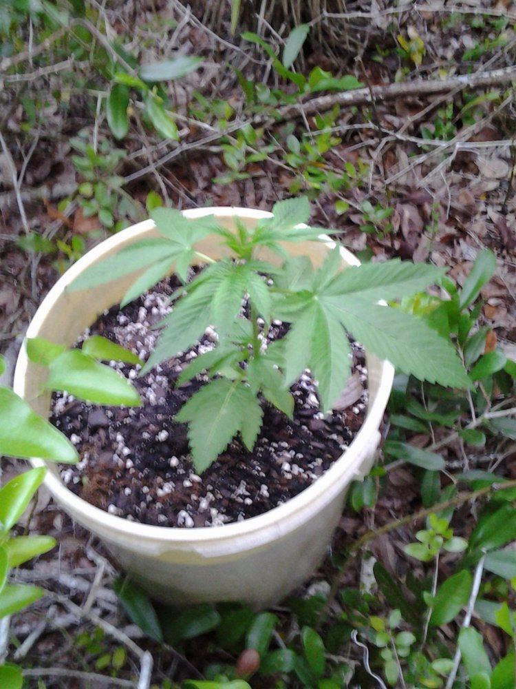 IMG 20150512 194354