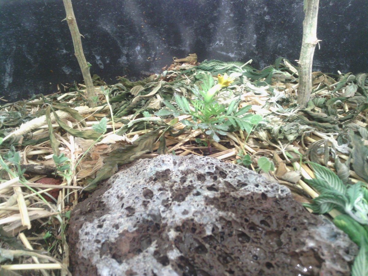 IMG 20150518 200603