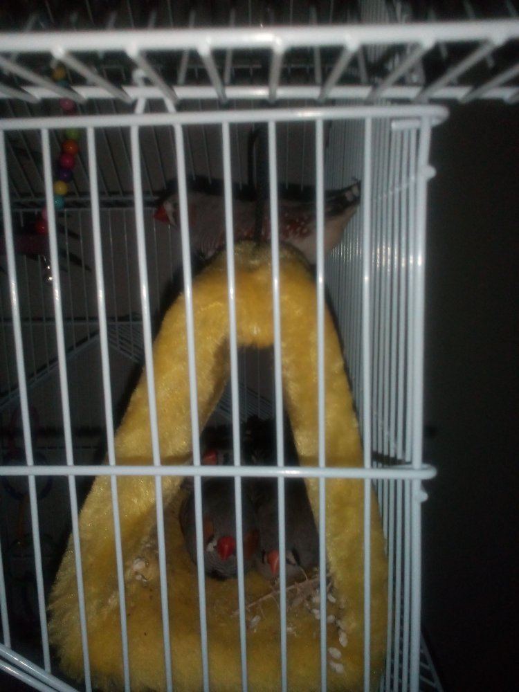 IMG 20150522 213417 1