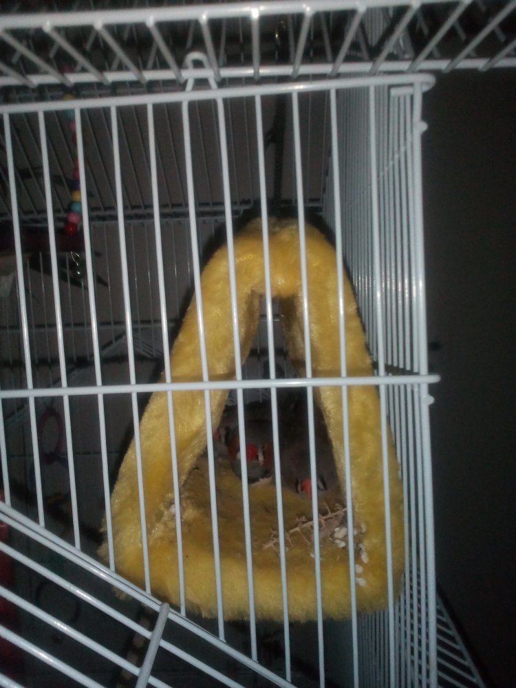 IMG 20150522 213518