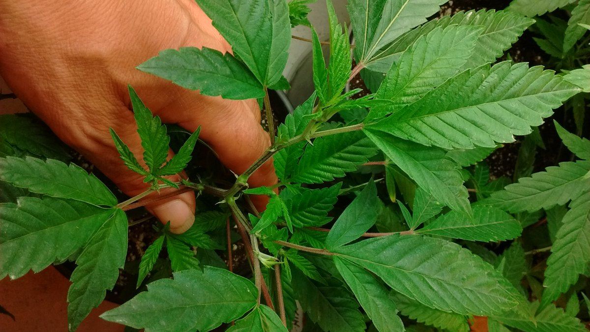 IMG 20150630 220907614