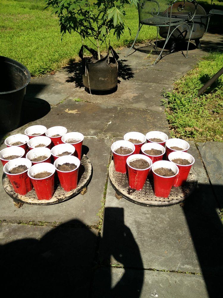 IMG 20150703 0957441