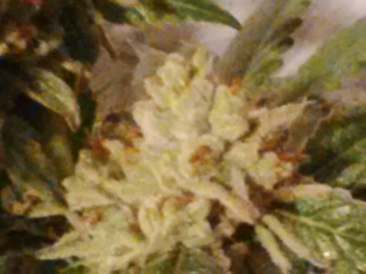 IMG 20150705 133545