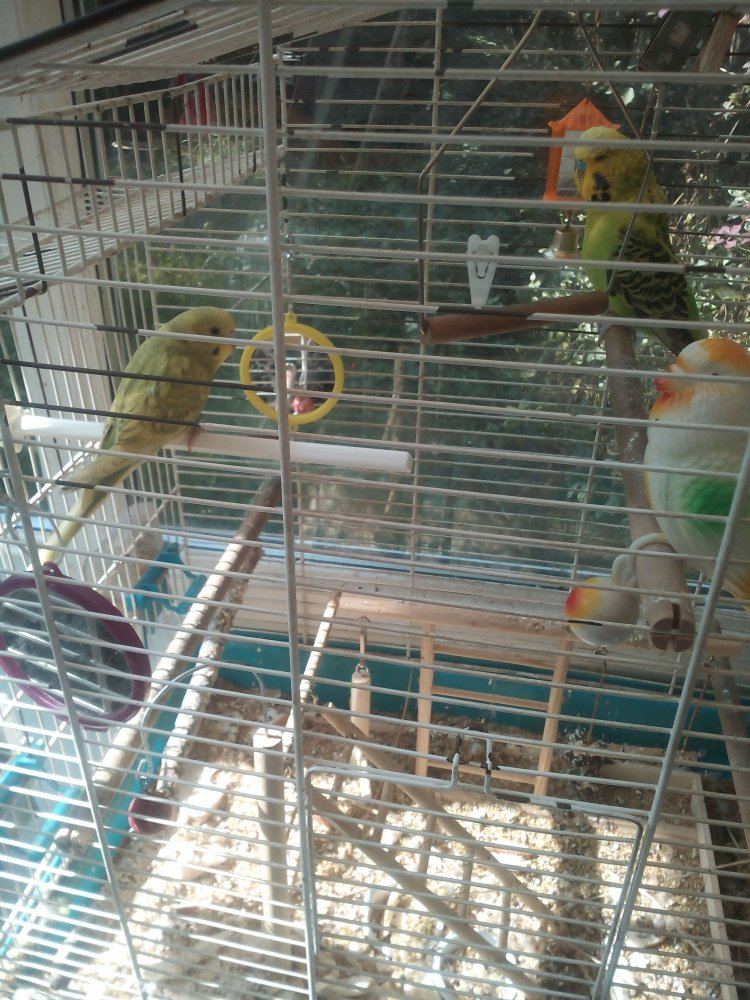 IMG 20150715 162704 1