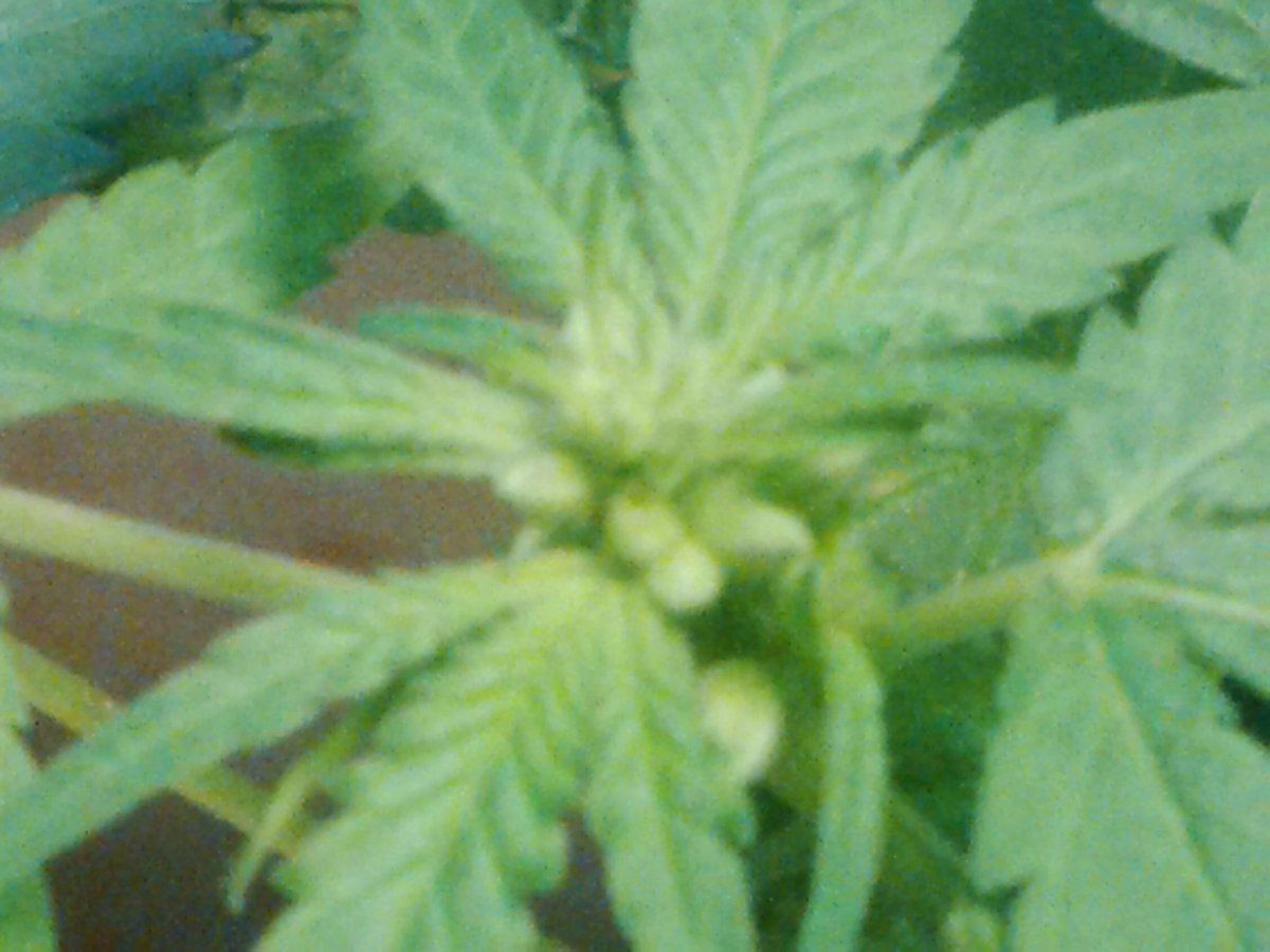 IMG 20150726 165424