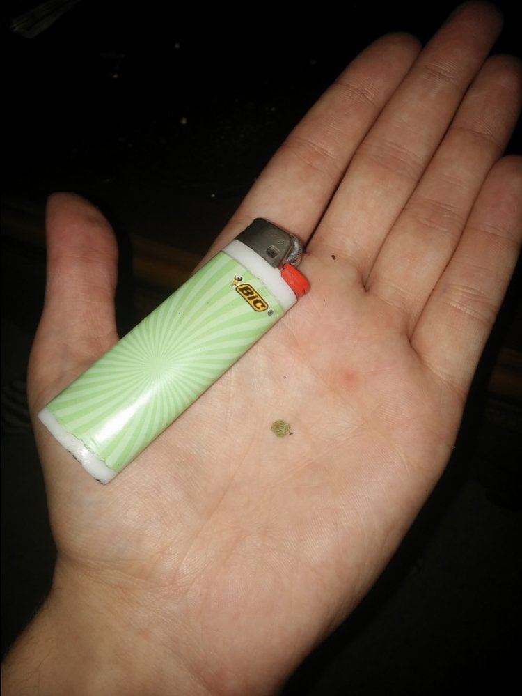 IMG 20151120 082117
