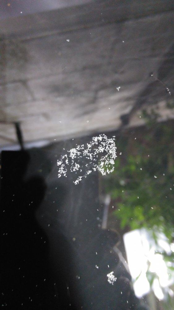 IMG 20151224 190757