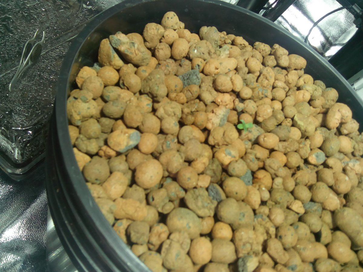 IMG 20160319 135543