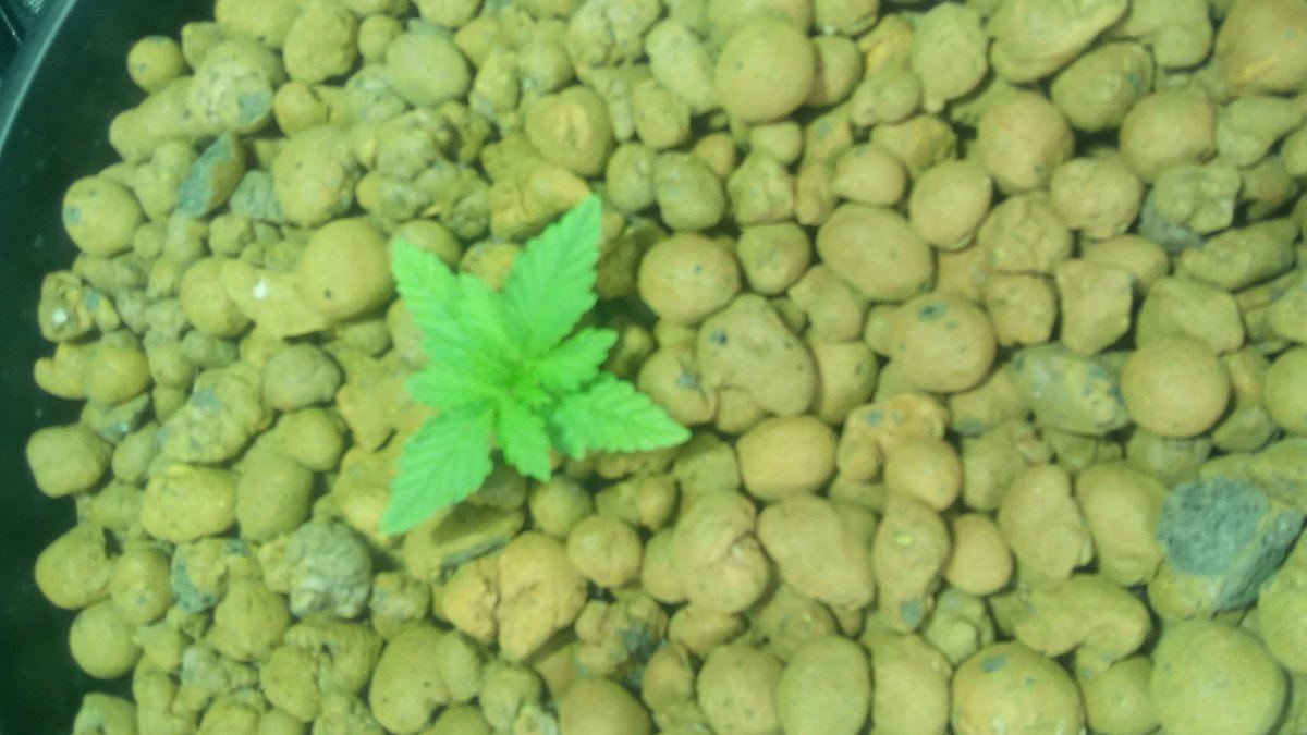 IMG 20160326 123407