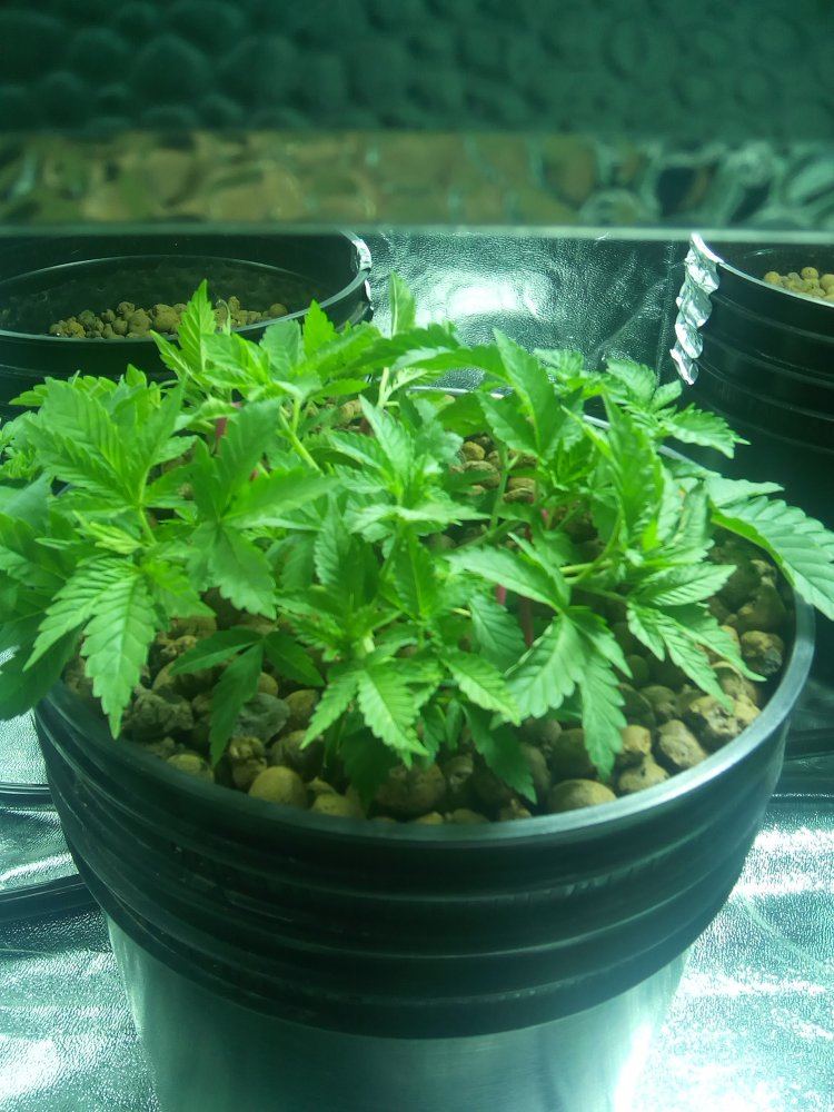 IMG 20160415 230519