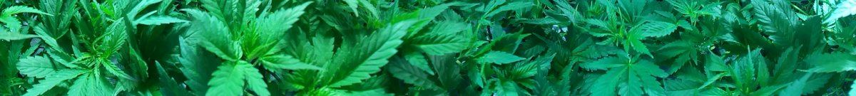 IMG 20160501 213206