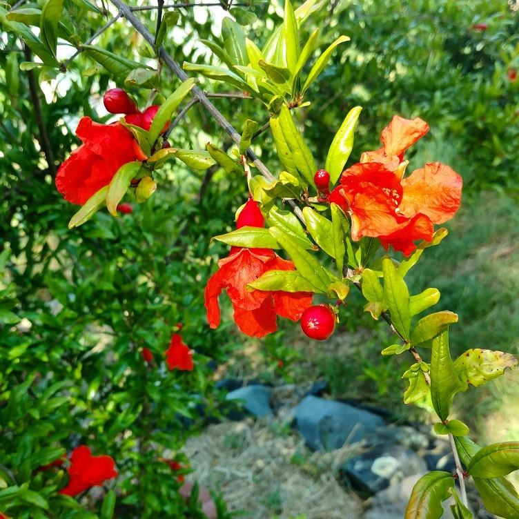 IMG 20160524 093316