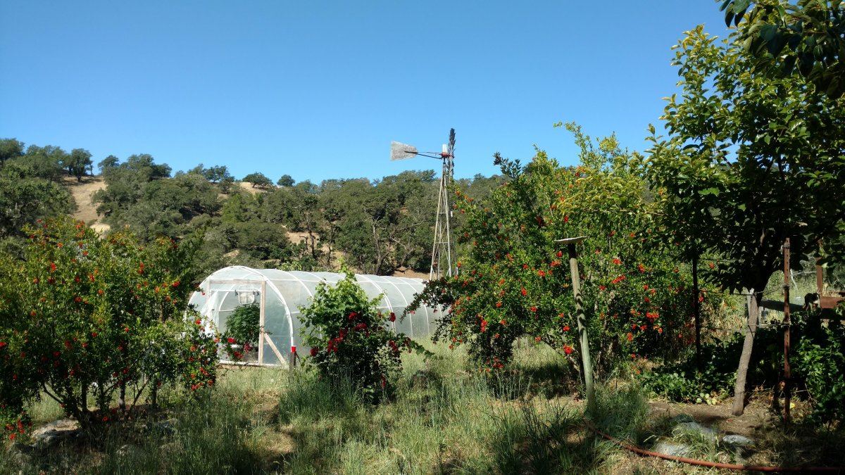 IMG 20160610 101047535