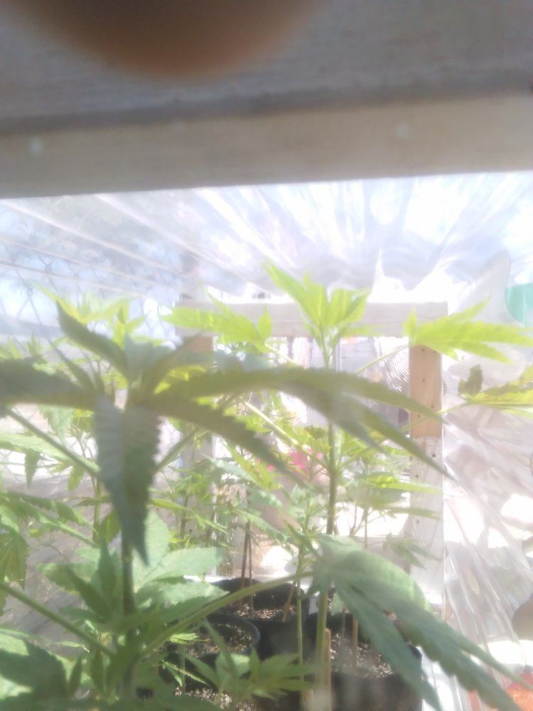 IMG 20160626 135518