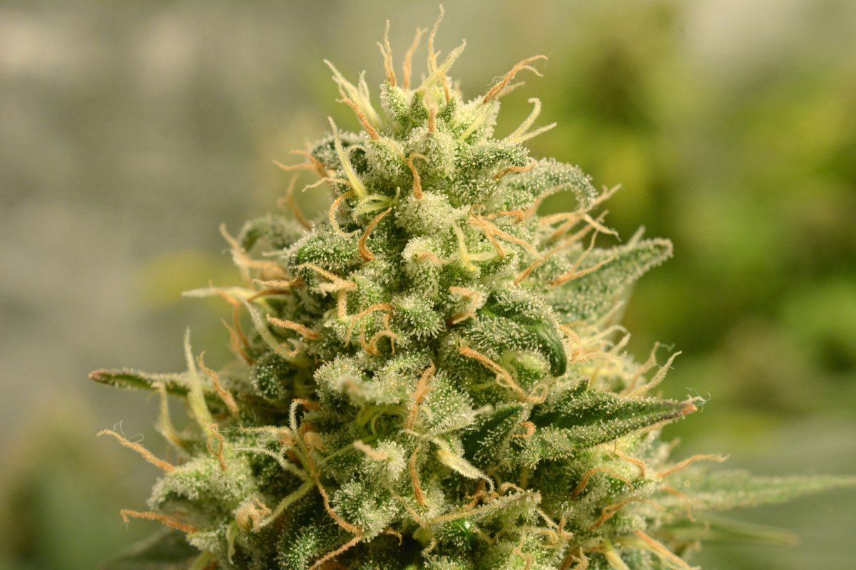 IMG 20160909 020624
