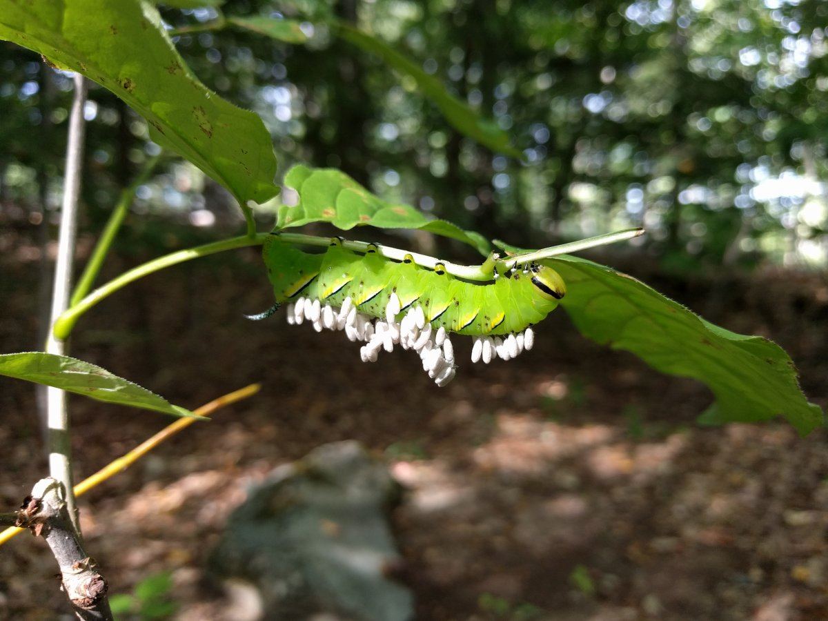 IMG 20160917 145918