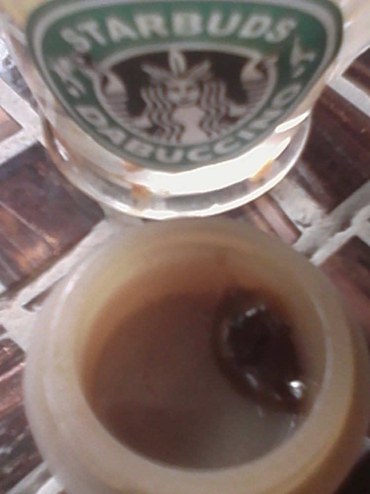 IMG 20161120 081517