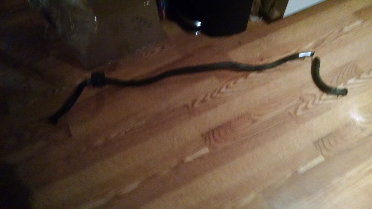 IMG 20161225 184533331