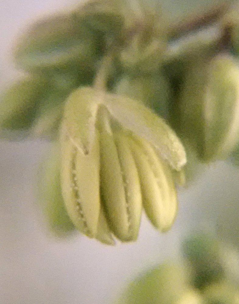 IMG 20170510 173109