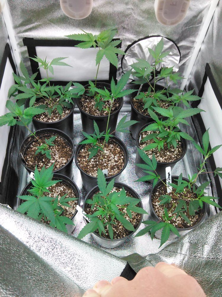 IMG 20170612 094847
