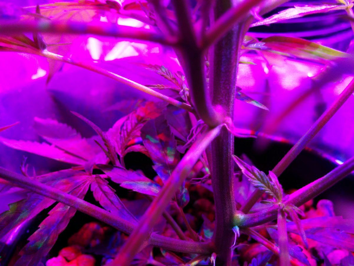 IMG 20170620 200719