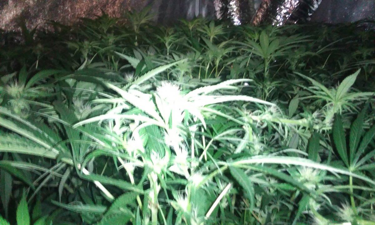 IMG 20170929 171711
