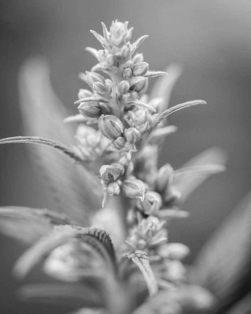 IMG 20170930 022216 754