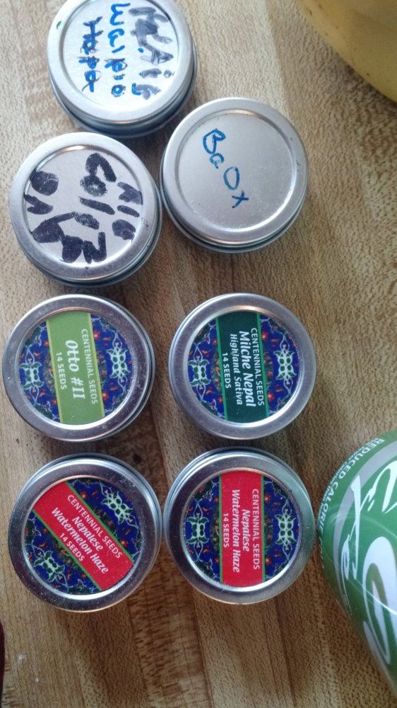 IMG 20171124 123358829