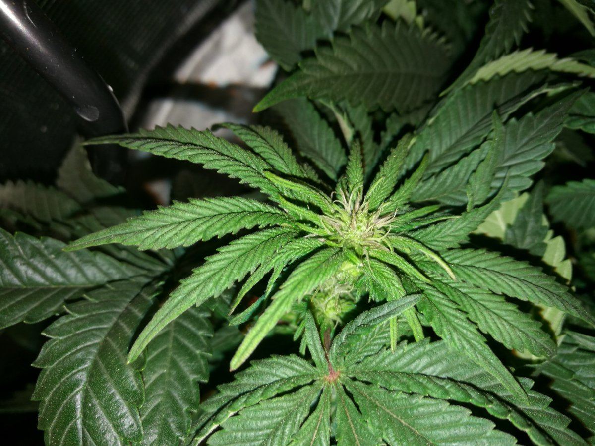 IMG 20171212 191027