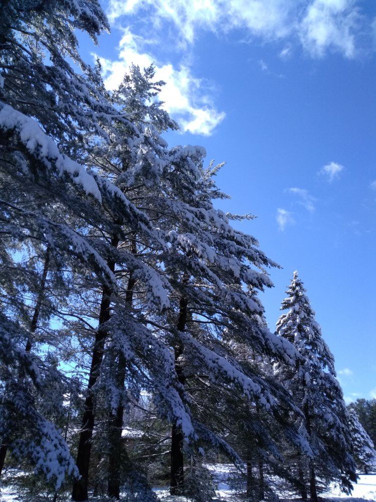 IMG 20180302 130530628