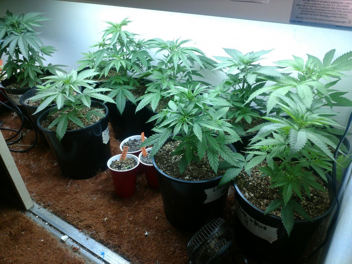 IMG 20180317 150246423