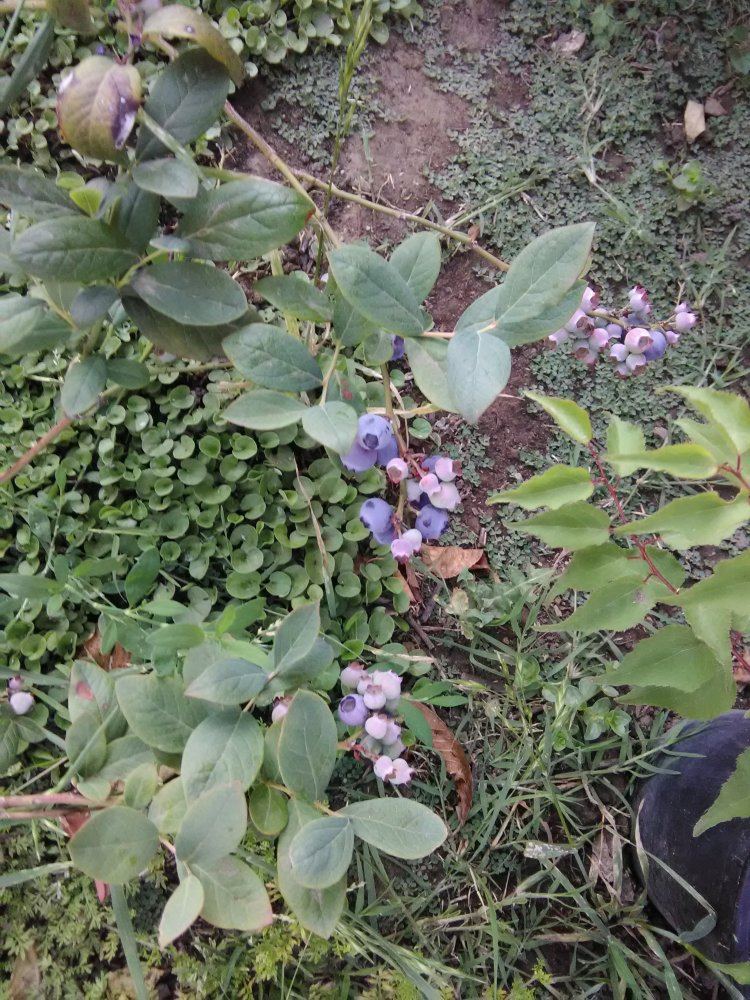 IMG 20180503 185338