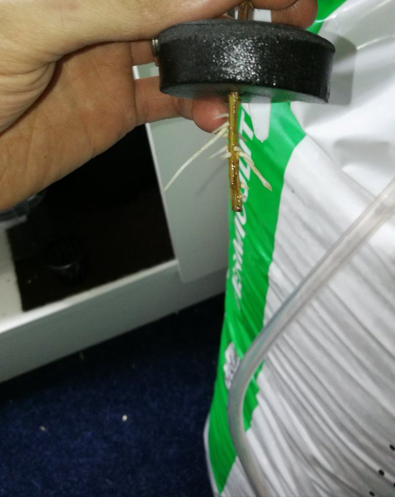 IMG 20180517 174639