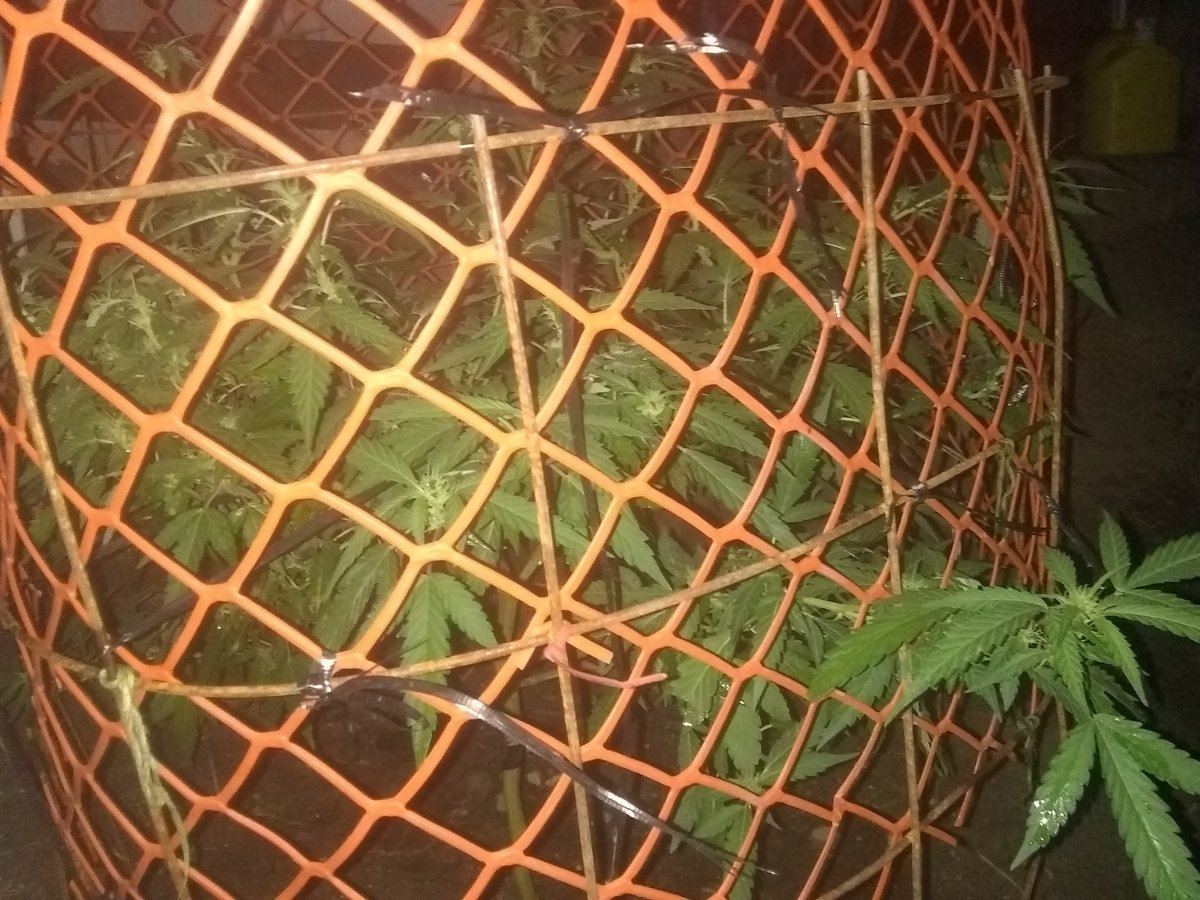 IMG 20180807 211144838