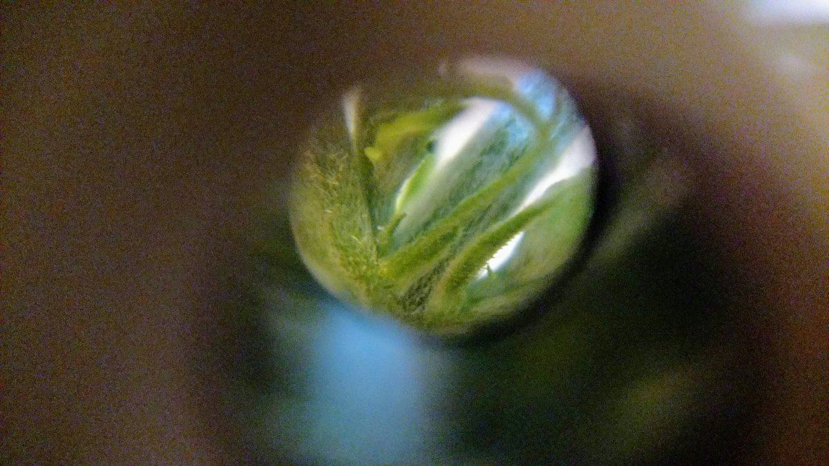 IMG 20181218 211927358