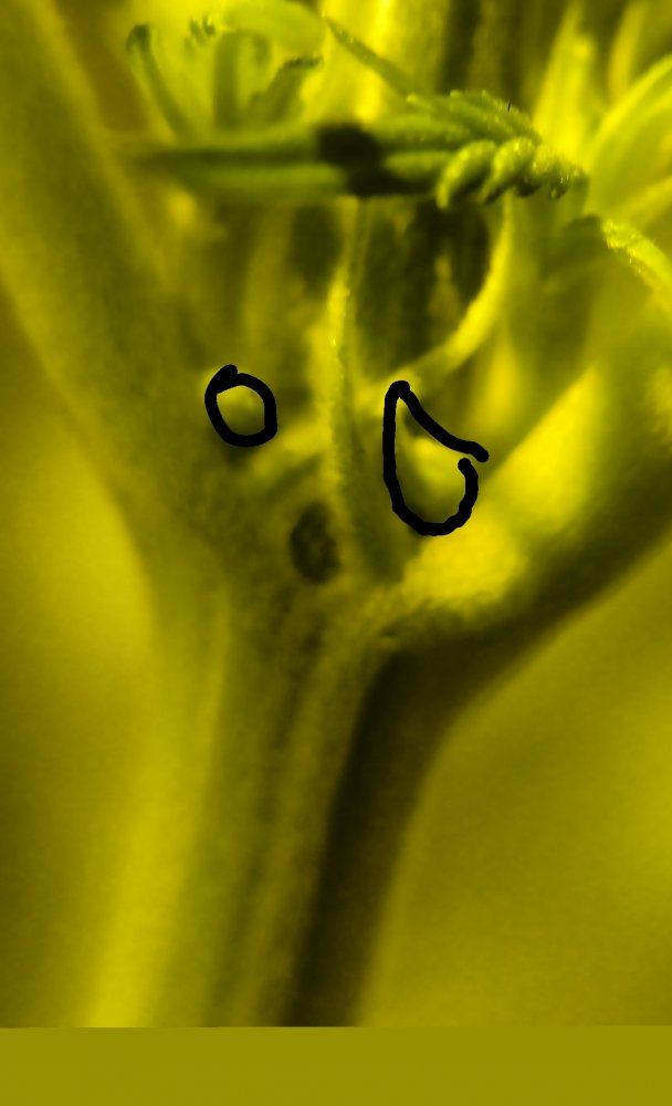 IMG 20190123 064344 157