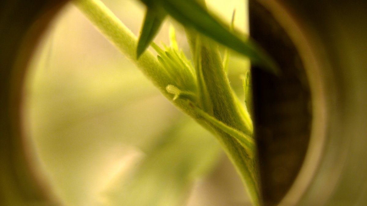 IMG 20190125 195237856 HDR