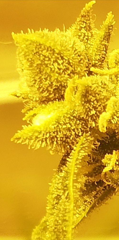 IMG 20190421 005805