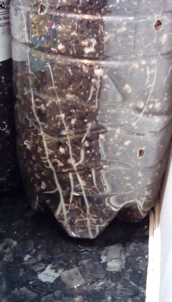 IMG 20190612 000108