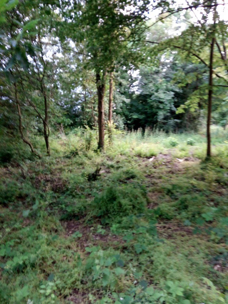 IMG 20190620 195722